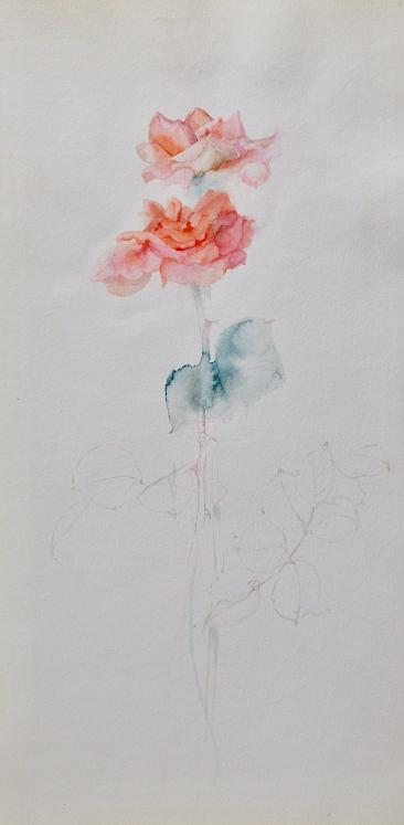Janine JANET - Original painting - Watercolor - Rose 1