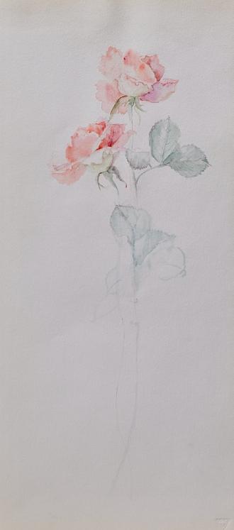Janine JANET - Original painting - Watercolor - Rose 2