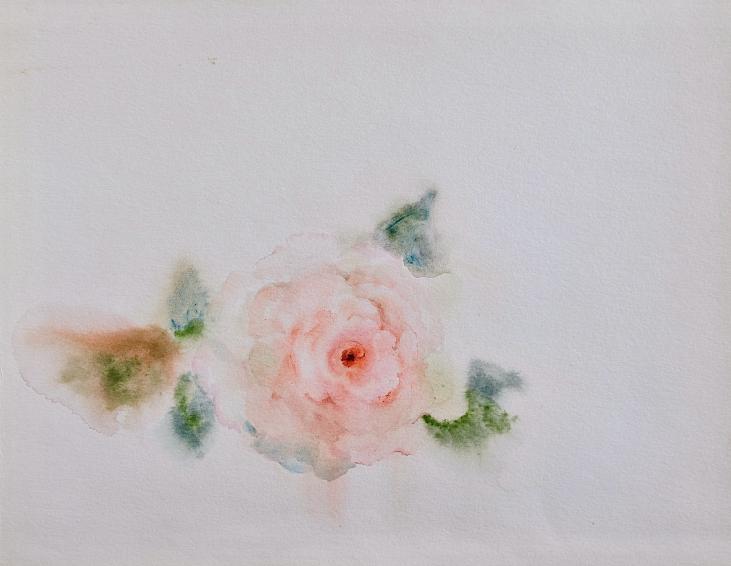 Janine JANET - Original painting - Watercolor - Rose 4