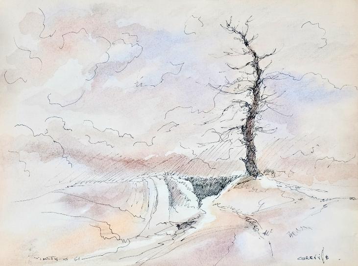 Claude VIETHO - Original drawing - Ink - The tree in Creville