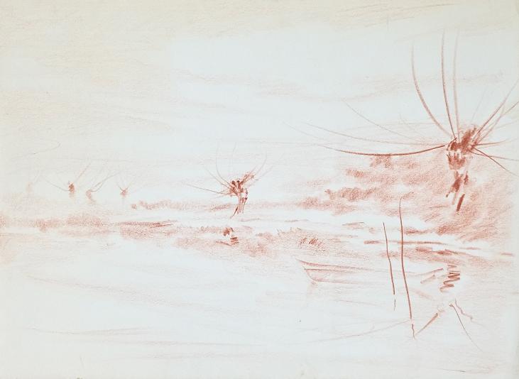 Claude VIETHO - Original drawing - Sanguine - Swamps