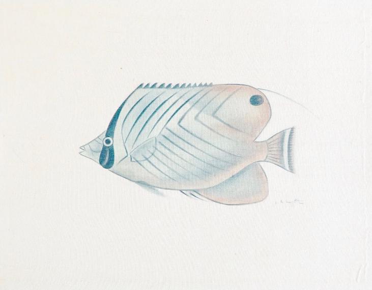 LA ROCHE LAFFITTE - Original painting - Watercolor - Fish 8