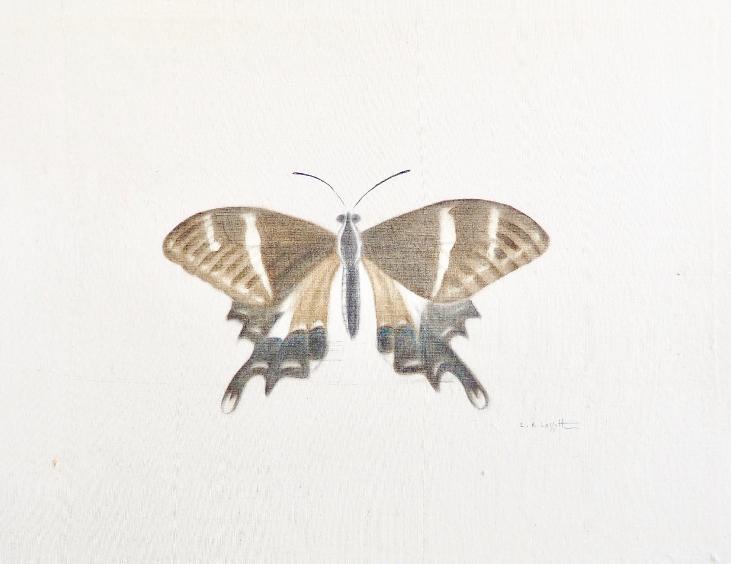 LA ROCHE LAFFITTE - Original painting - Watercolor - Brown Butterfly 2