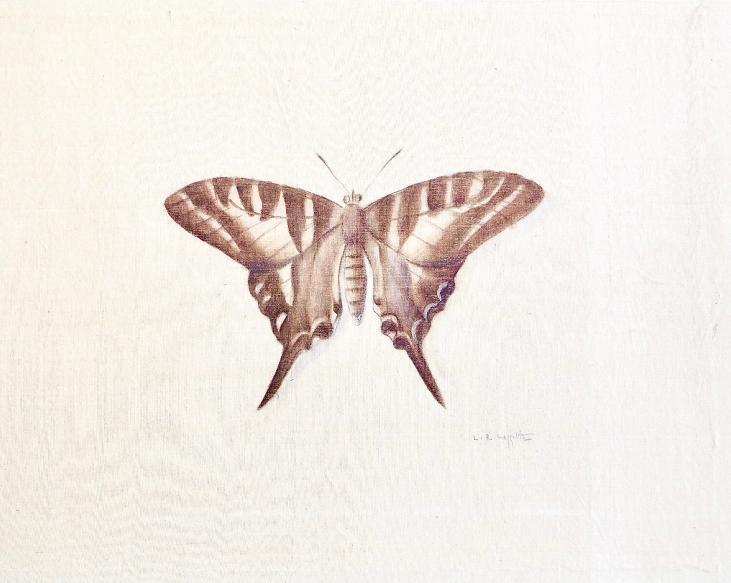LA ROCHE LAFFITTE - Original painting - Watercolor - Brown Butterfly 3