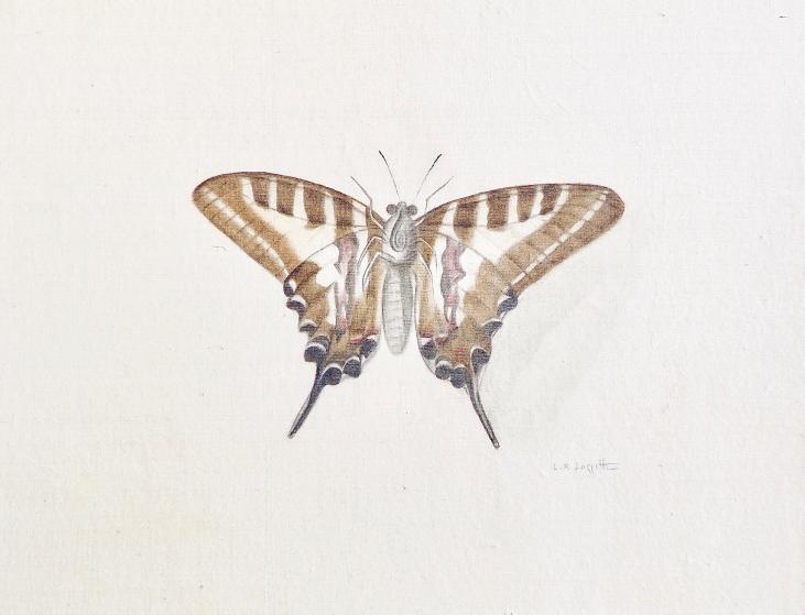 LA ROCHE LAFFITTE - Original painting - Watercolor - Brown Butterfly 4