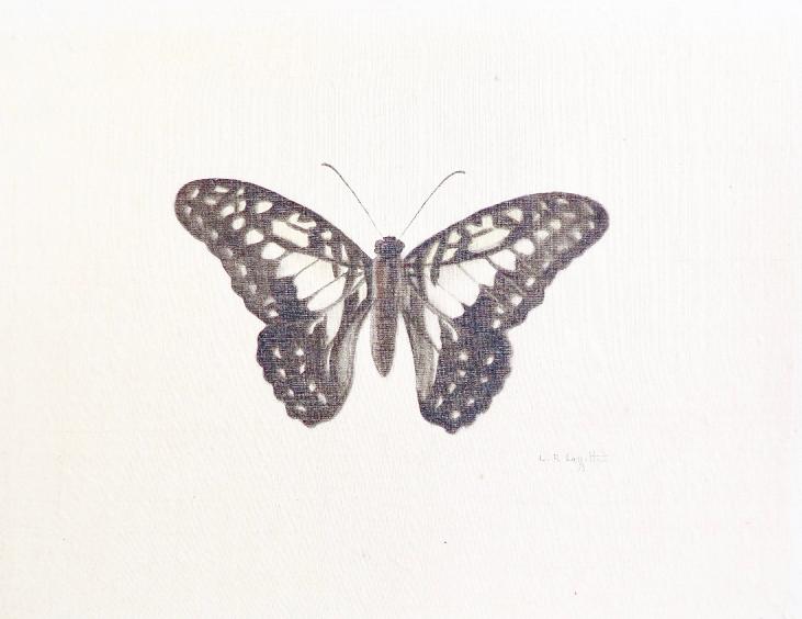 LA ROCHE LAFFITTE - Original painting - Watercolor - Black Butterfly 2