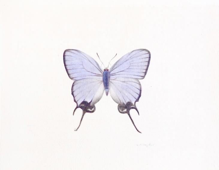 LA ROCHE LAFFITTE - Original painting - Watercolor - Purple Butterfly