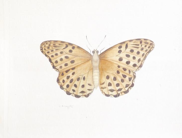 LA ROCHE LAFFITTE - Original painting - Watercolor - Orange Butterfly 3