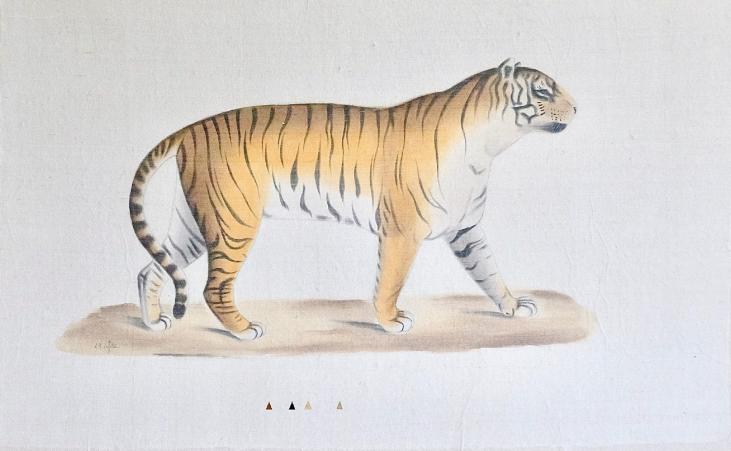 LA ROCHE LAFFITTE - Original painting - Watercolor - Tiger 3