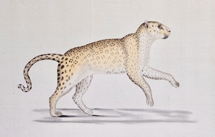 LA ROCHE LAFFITTE - Original painting - Watercolor - Leopard 4