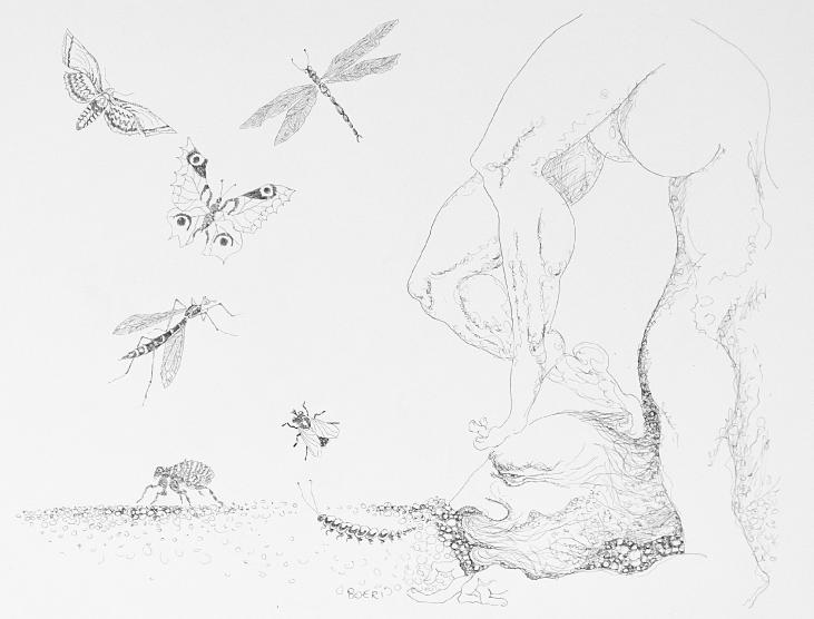 Jacques BOÉRI - Original drawing - Ink - The insects