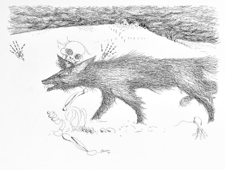 Jacques BOÉRI - Original drawing - Ink - The wolf