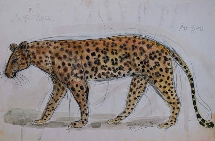 Edouard RIGHETTI  - Original painting - Watercolour - The panther