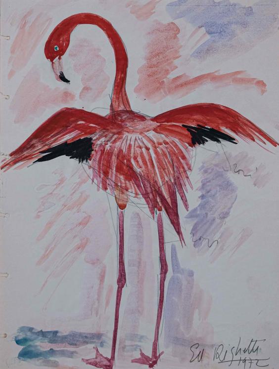 Edouard RIGHETTI  - Original painting - Watercolor - The pink flamingo
