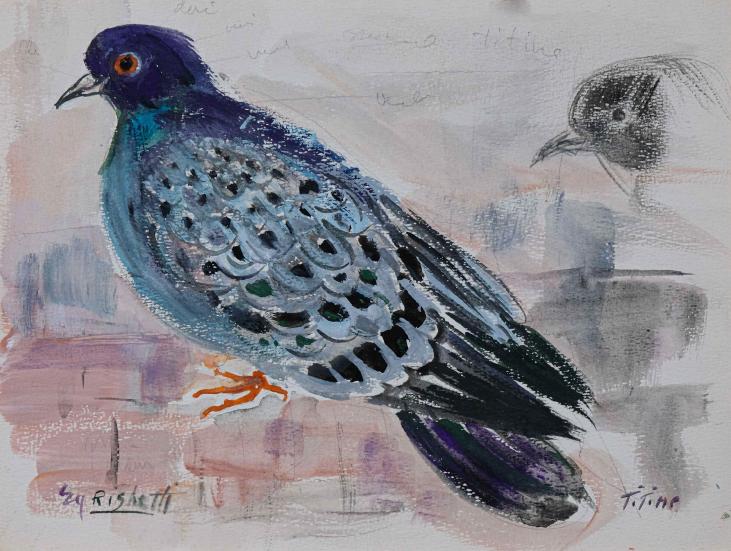 Edouard RIGHETTI  - Original painting - Gouache - Dove