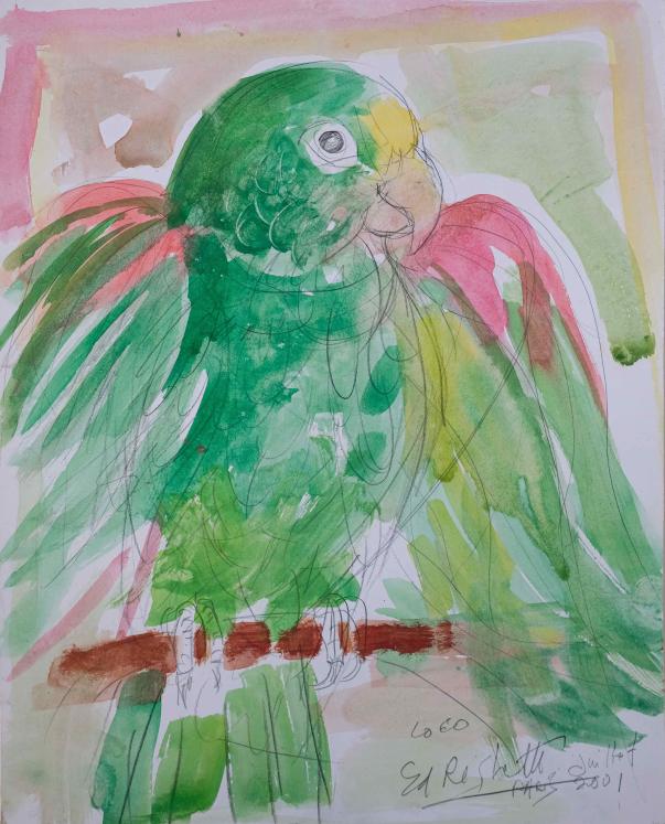 Edouard RIGHETTI  - Original painting - Gouache - The parrot
