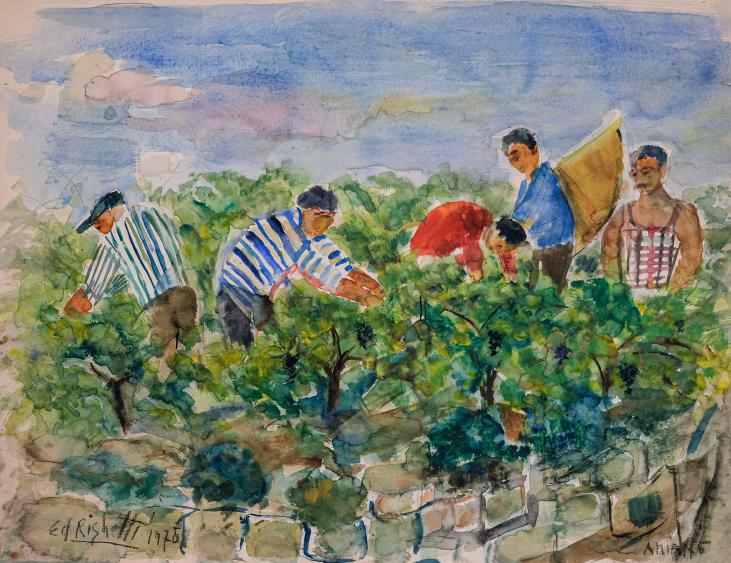 Edouard RIGHETTI  - Original painting - Watercolour -Harvest in Herault