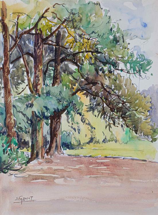 Etienne GAUDET - Original painting - Watercolor - Undergrowth