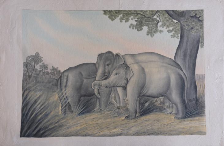La Roche LAFFITTE - Original painting - Watercolor - The herd of elephants