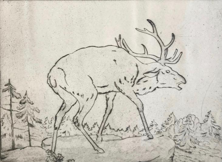 Alexandre Genaille - Original print - Dry tip - The deer