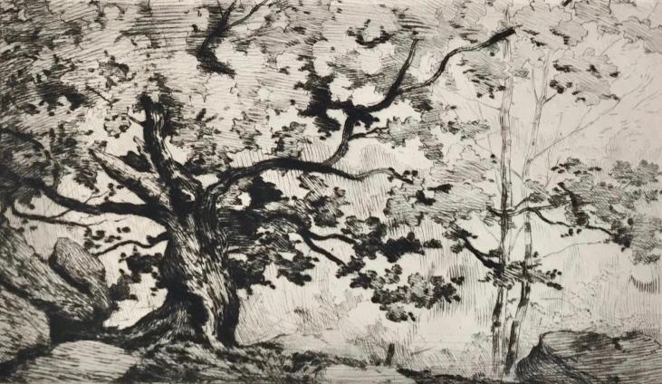 Alexandre Genaille - Original print - Dry point - Old oak