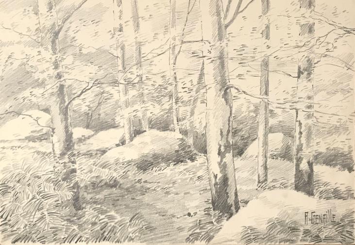 Alexandre Genaille - Original drawing - Pencil - Fontainebleau Forest 2
