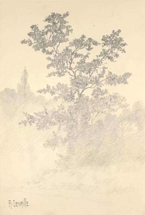 Alexandre Genaille - Original drawing - Pencil - The tree in the mist