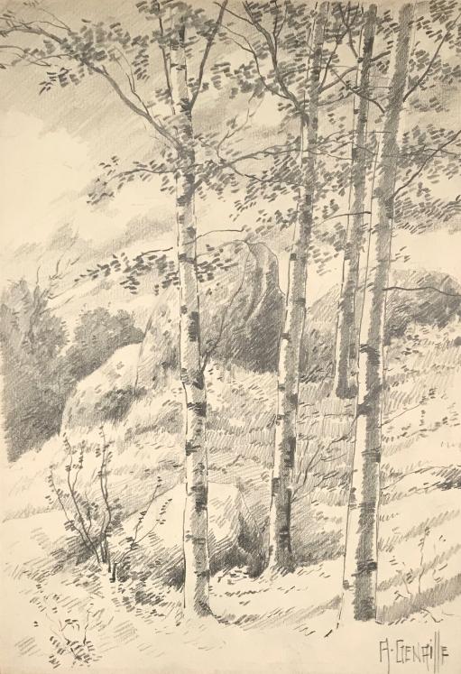 Alexandre Genaille - Original drawing - Pencil - Fontainebleau Forest 3