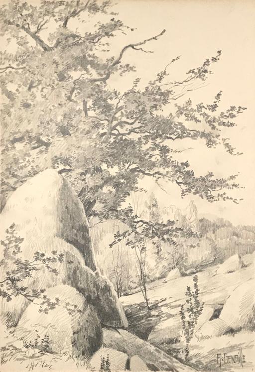 Alexandre Genaille - Original drawing - Pencil - Fontainebleau Forest 5