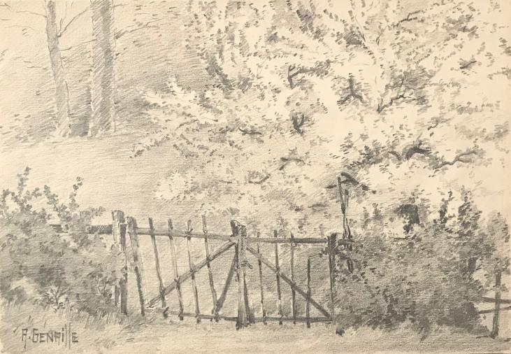 Alexandre Genaille - Original drawing - Pencil - Bottom of the garden