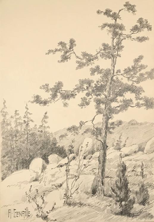 Alexandre Genaille - Original drawing - Pencil - Fontainebleau Forest 6