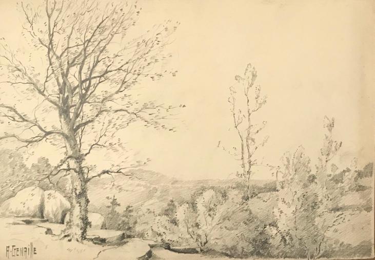 Alexandre Genaille - Original drawing - Pencil - Fontainebleau Forest 7