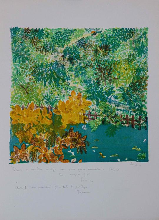 IRACEMA Arditi - Original print - Lithograph - Brazilian forest