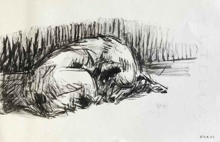 Hélène VOGT - Original drawing - Ink - Dog 1