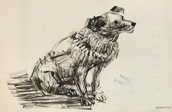 Hélène VOGT - Original drawing - Ink - Dog 2