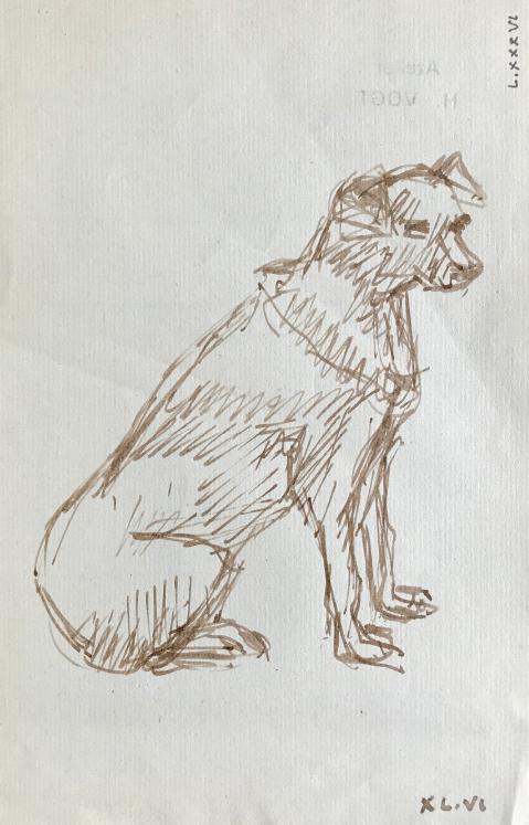 Hélène VOGT - Original drawing - Ink - Dog 13