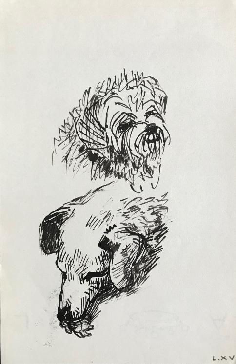 Hélène VOGT - Original drawing - Ink - Dog 20