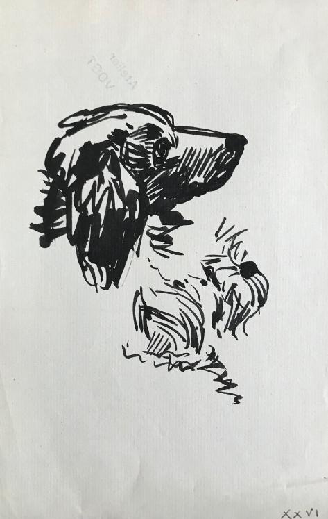 Hélène VOGT - Original drawing - Ink - Dog 23