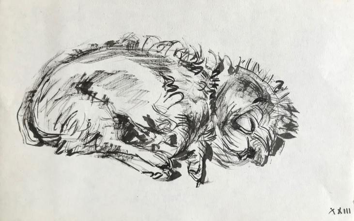 Hélène VOGT - Original drawing - Ink - Dog 29