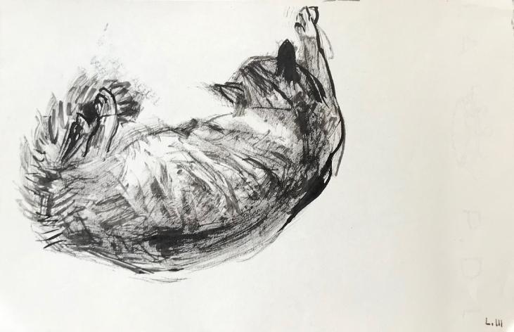 Hélène VOGT - Original drawing - Ink - Cat 5