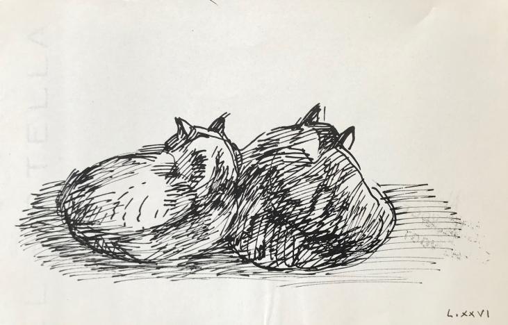 Hélène VOGT - Original drawing - Ink - Cat 7