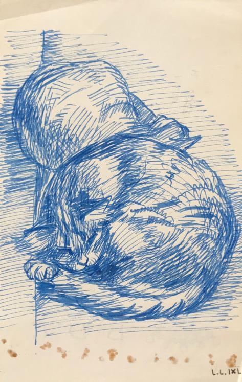 Hélène VOGT - Original drawing - Ink - Cat 10