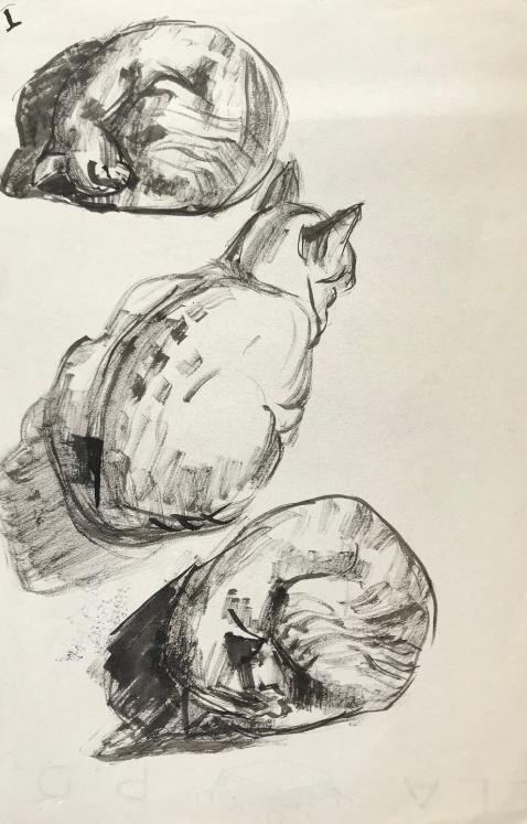 Hélène VOGT - Original drawing - Ink - Cat 14