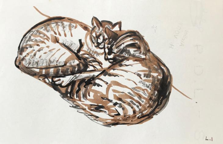 Hélène VOGT - Original drawing - Ink - Cat 19