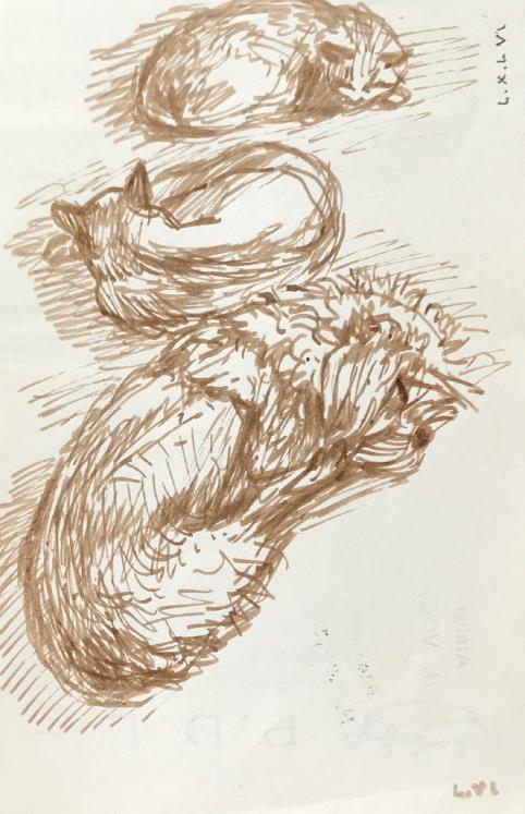 Hélène VOGT - Original drawing - Ink - Cat 33