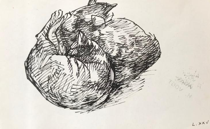 Hélène VOGT - Original drawing - Ink - Cat 34