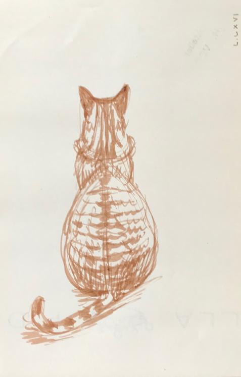 Hélène VOGT - Original drawing - Ink - Cat 36
