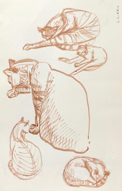 Hélène VOGT - Original drawing - Ink - Cat 38