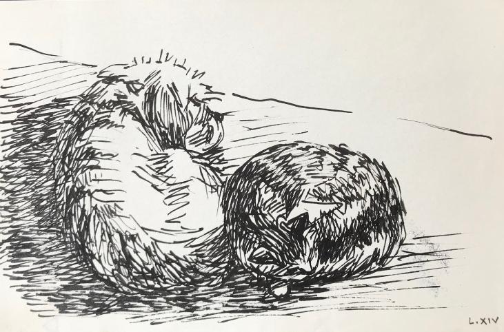 Hélène VOGT - Original drawing - Ink - Cat 40
