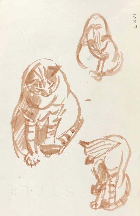 Hélène VOGT - Original drawing - Ink - Cat 42